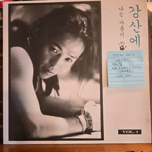 강산에vol.1.나는사춘기.94.킹.NM/NM+.민트급LP 이미지