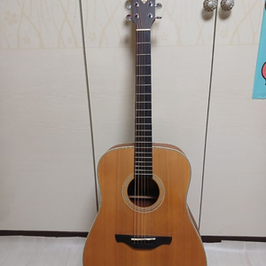 덱스터 AD-100S 통기타 이미지