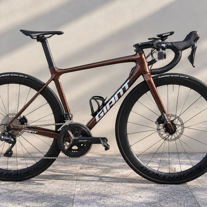 자이언트 TCR 어드밴스 카본 로드 / 에올루스 PRO 5 / 울테그라 이미지