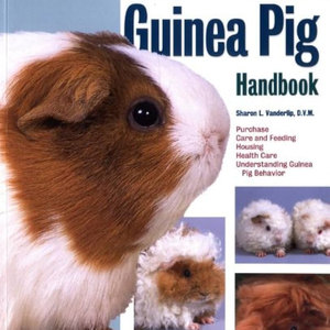 The Guinea Pig Handbook 앞속지에 영문이름표기 있습니다 / 기니피그 핸드북 이미지