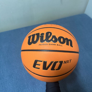 윌슨 EVO NXT 농구공 이미지
