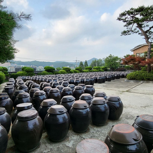 숨쉬는 대형 항아리,장독,옹기<된장항아리,김치항아리,소금항아리> 재래된장 팝니다. 이미지