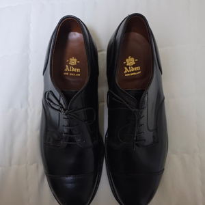 Alden 2161 이미지