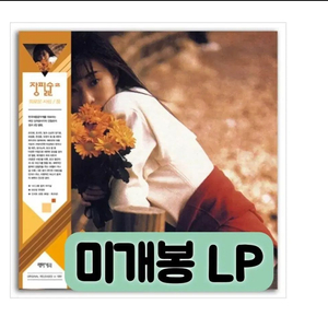 장필순 - 2집 외로운 사랑, 꿈 [140g 컬러 LP]2021리마스터링 이미지