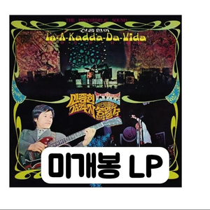 신중현과 퀘션스 - In-A-Kadda-Da-Vida LP 이미지