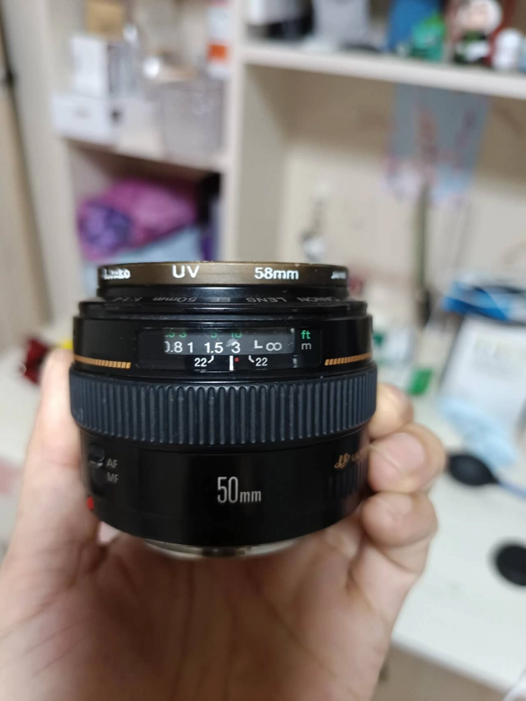 캐논 60D+50 F1.4 이미지