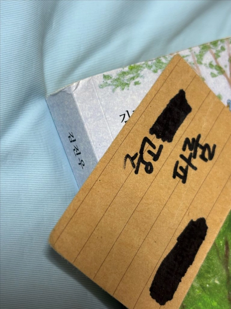 걷다가 앉다가 보다가, 다시 김진우 이미지