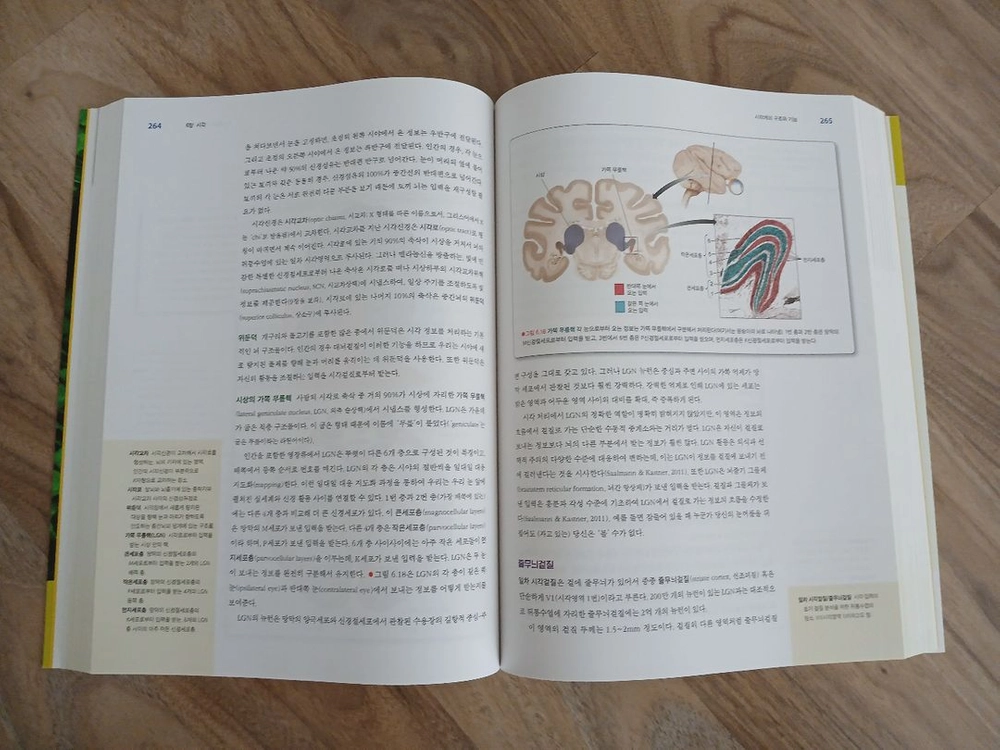 (책) 행동신경과학-생물심리학 입문 제4판(Laura A. Freberg) 이미지