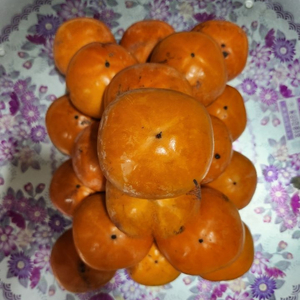 조생 단감 이미지
