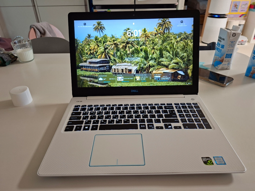DELL G3 15 3579 8300H GTX1050Ti 16G 게이밍 노트북 (윈도우11정품포함) - 안심되는 중고거래