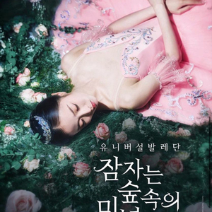 잠자는 숲속의 미녀 발레공연 10/3 2매 연석 이미지