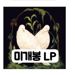 페이퍼 리버 - where, there was LP 이미지