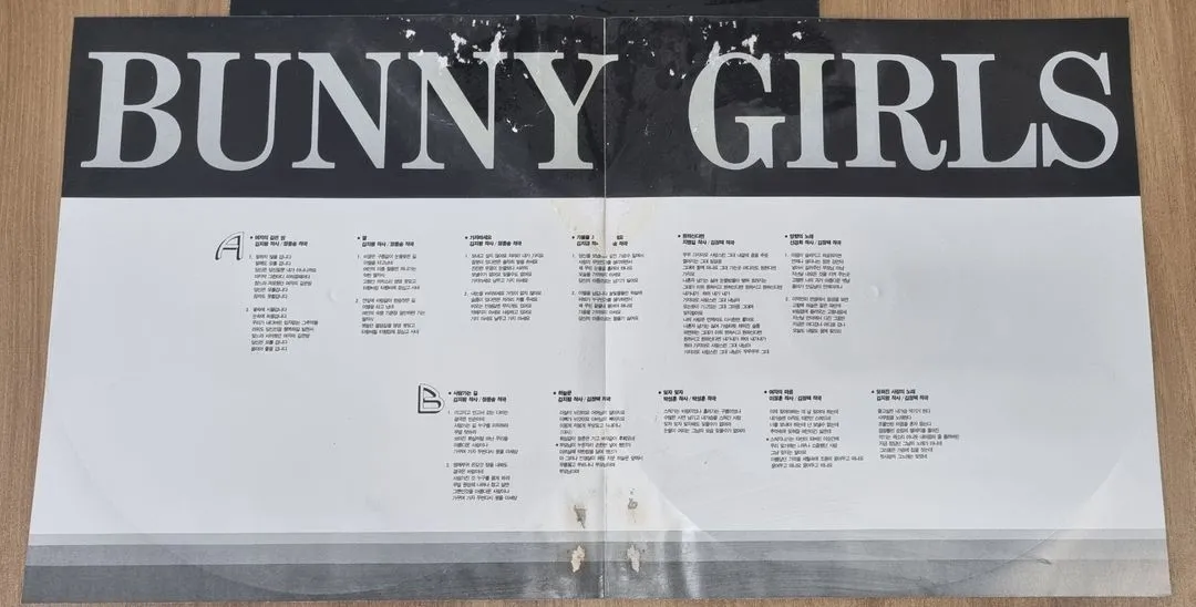 바니걸스 lp 이미지