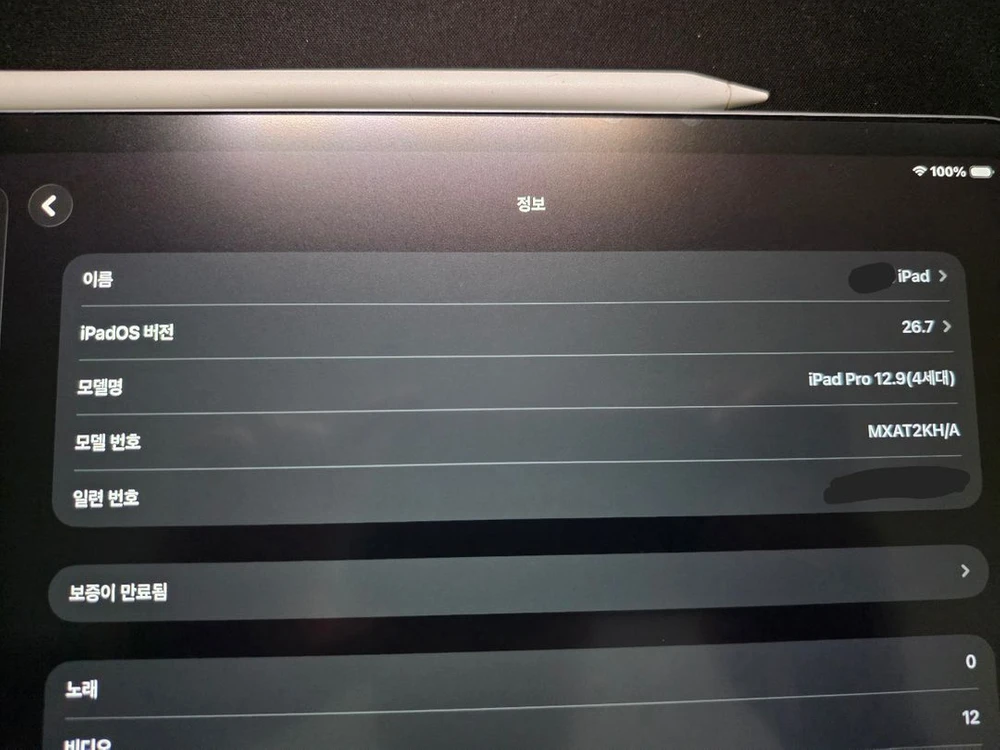 아이패드 프로 12.9인치 4세대 256GB WIFI 사용감 있음 택배/직거래 가능 이미지