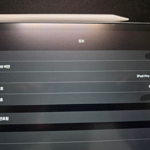 아이패드 프로 12.9인치 4세대 256GB WIFI 사용감 있음 택배/직거래 가능 이미지