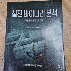 실전 바이너리 분석 기술서 이미지