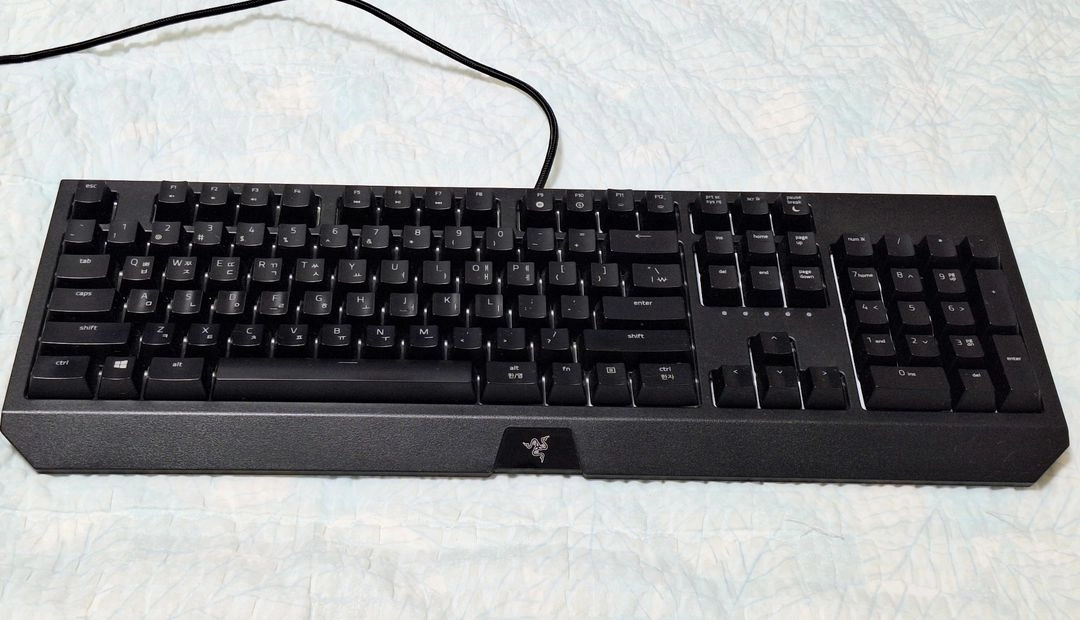 레이저 Razer BlackWidow 녹축 기계식 키보드 (RZ03-0266) - 안심되는 중고거래