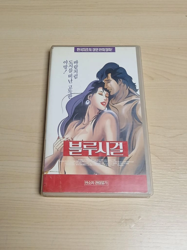 한국 최초 어덜드 액션 만화 애니메이션 최민수 김혜수 성우더빙 블루시걸 비디오 테이프 이미지