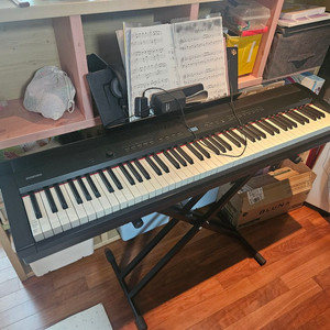 다이나톤 DPP-510 이미지