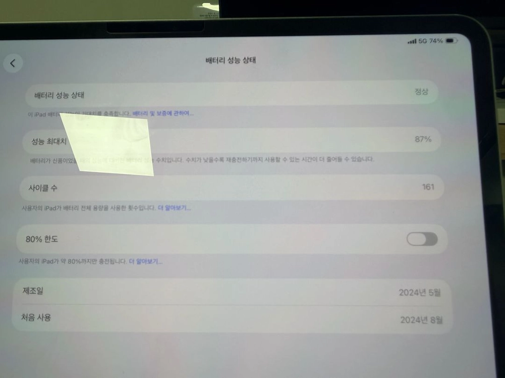 애플 아이패드프로 13인치 M4 실버 256 셀룰러 SSS급 이미지