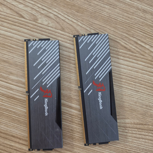 킹뱅크 DDR5 32GB 6400 32CL 16GB 2개 이미지