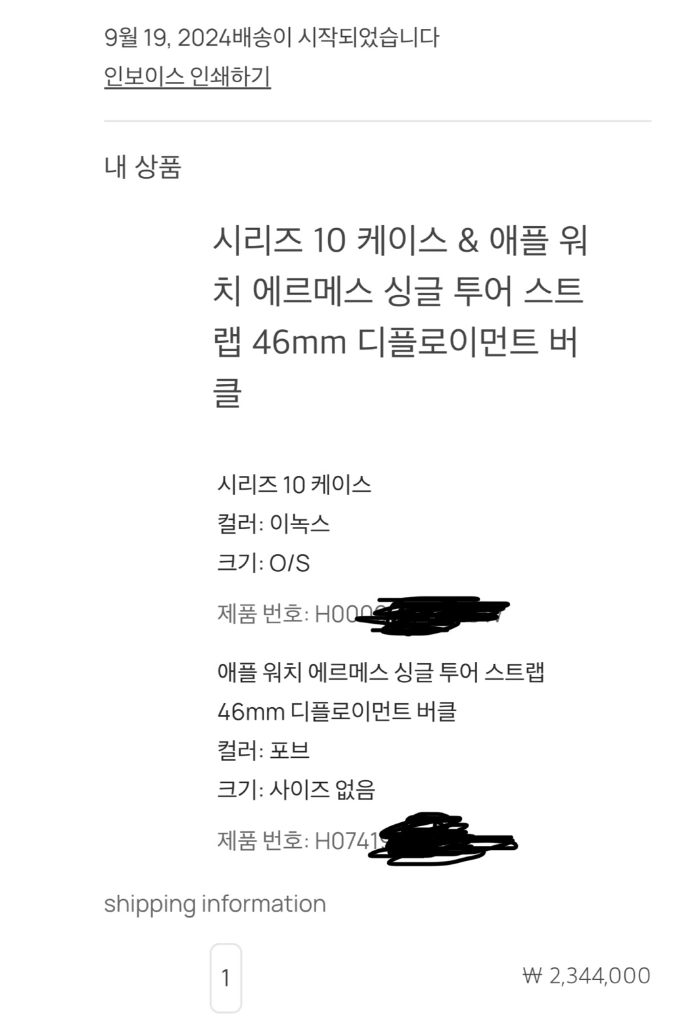 애플워치 10 에르메스 (애케플 포함) 이미지