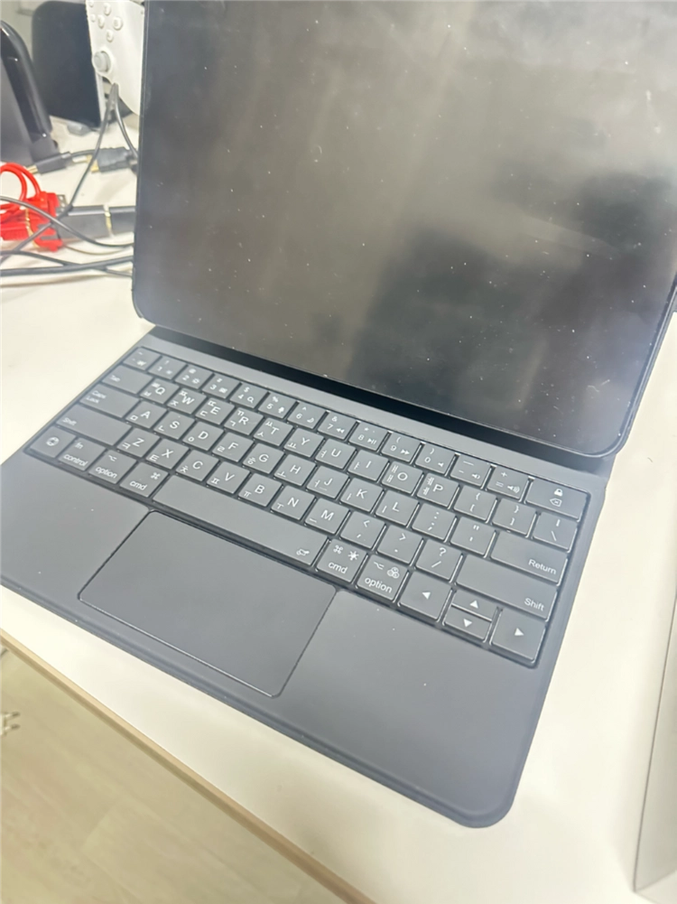 아이패드 프로 m4 13 256 wifi - 안심되는 중고거래