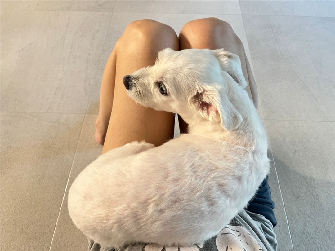 프로필 이미지