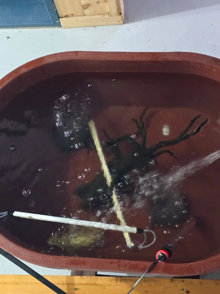 수족관, 필그린 외부여과기 팝니다.(금붕어5마리포함) 이미지