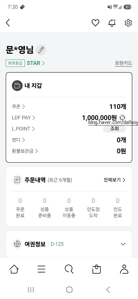LDF 페이 양도합니다(100만원->95만원) 이미지