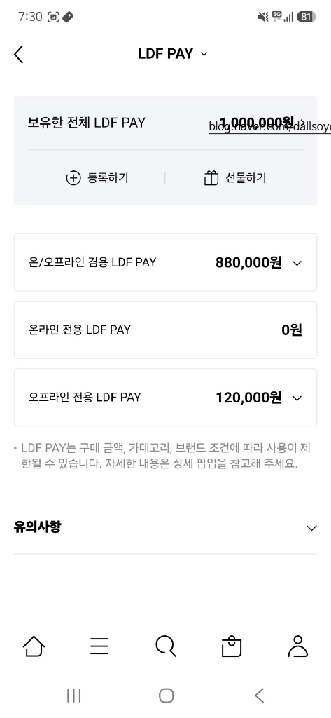 LDF 페이 양도합니다(100만원->95만원) 이미지
