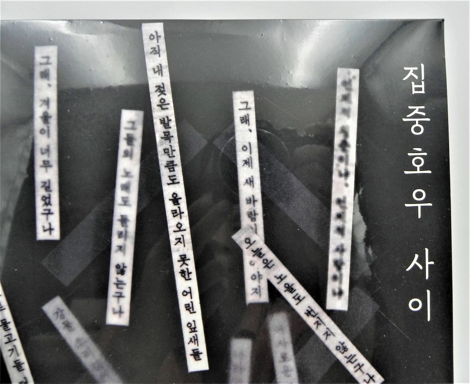 [미개봉/한정판] 정태춘 박은옥 12집 - 집중호우 사이 한정반 LP (180g) 이미지