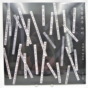 [미개봉/한정판] 정태춘 박은옥 12집 - 집중호우 사이 한정반 LP (180g) 이미지