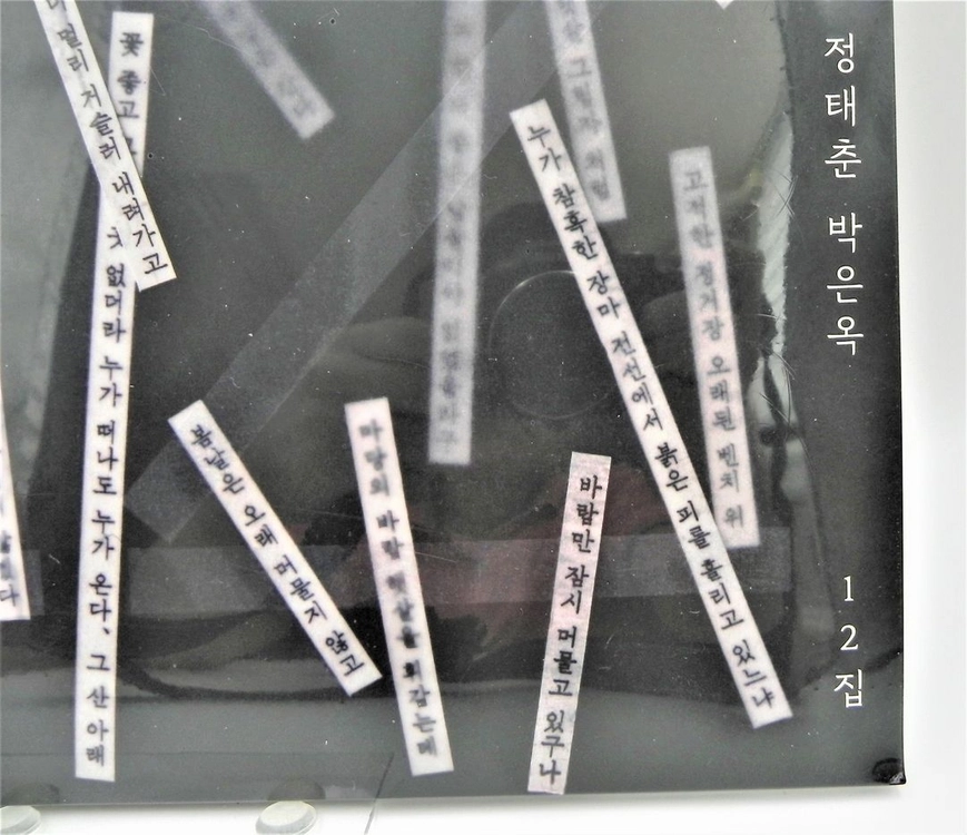 [미개봉/한정판] 정태춘 박은옥 12집 - 집중호우 사이 한정반 LP (180g) 이미지