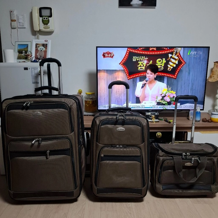 리카르도 비벌리 여행캐리어 2종 이미지