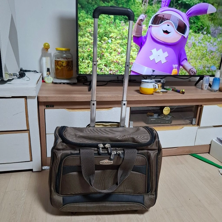리카르도 비벌리 여행캐리어 2종 이미지
