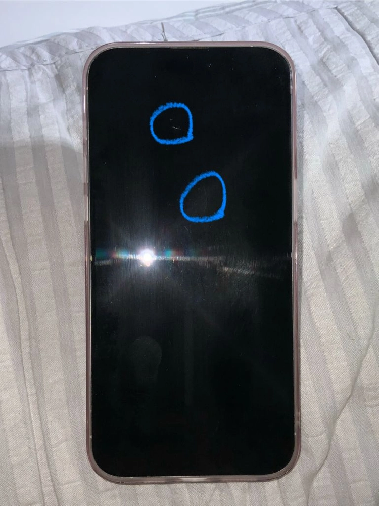 아이폰 15 프로맥스 화이트 티타늄 256GB 이미지