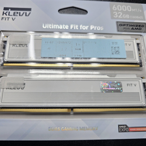 에센코어 클레브 FIT V DDR5 6000 cl30 16g x2 32기가 팝니다 서린정품 이미지