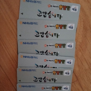 오발탄식당키프트카드 상품권여러장판매해요 이미지