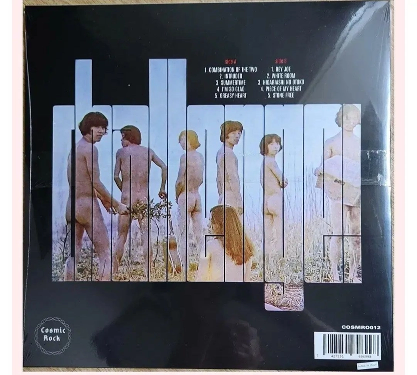 유야 우치다 (Yuya Uchida), 더 플라워스 LP 이미지