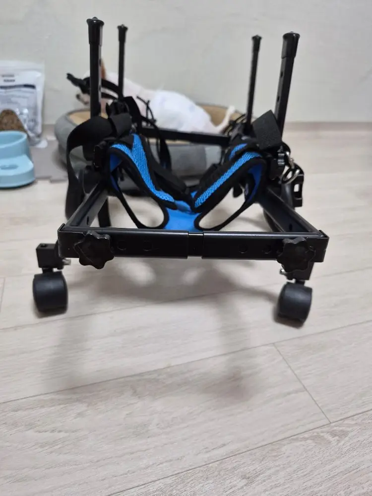 반려동물 보행기 이미지