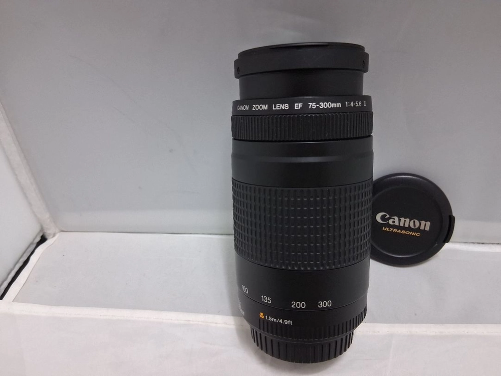 75-300mm F4-5.6 ll 망원줌렌즈 이미지