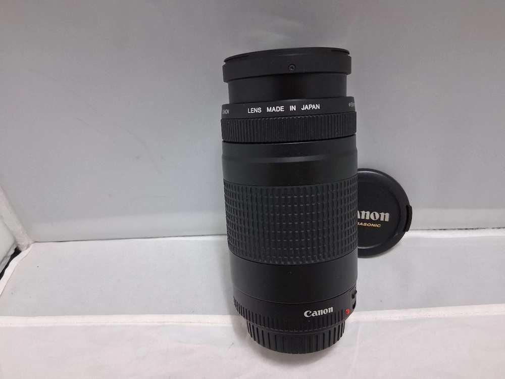 75-300mm F4-5.6 ll 망원줌렌즈 이미지