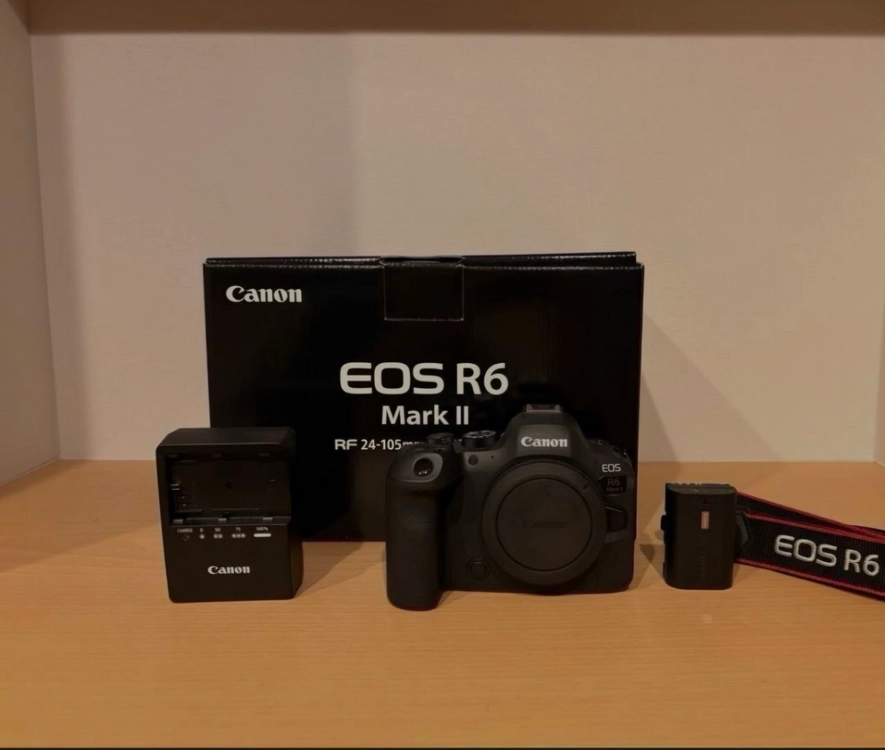 캐논 EOS R6 Mark II 중고 . - 안심되는 중고거래