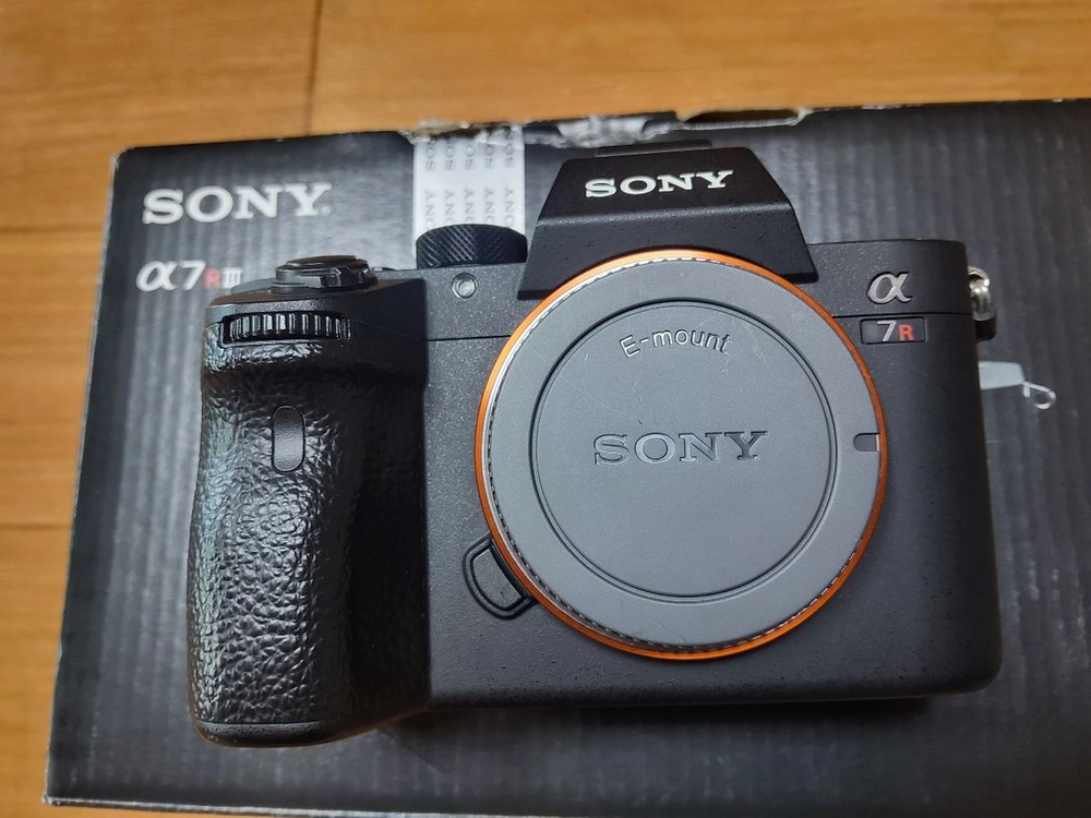 소니 A7R3 (7,285컷) 이미지