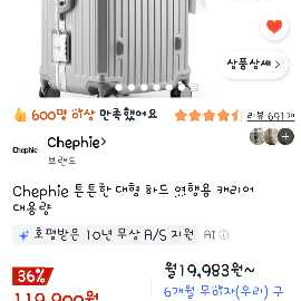 대형 여행용 캐리어 이미지