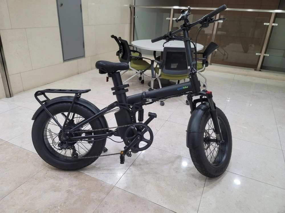 전기자전거 퀄리Q 맥스 퍼포먼스 리미티드 에디션 48V 500W 접이식 팻바이크 자토바이 이미지