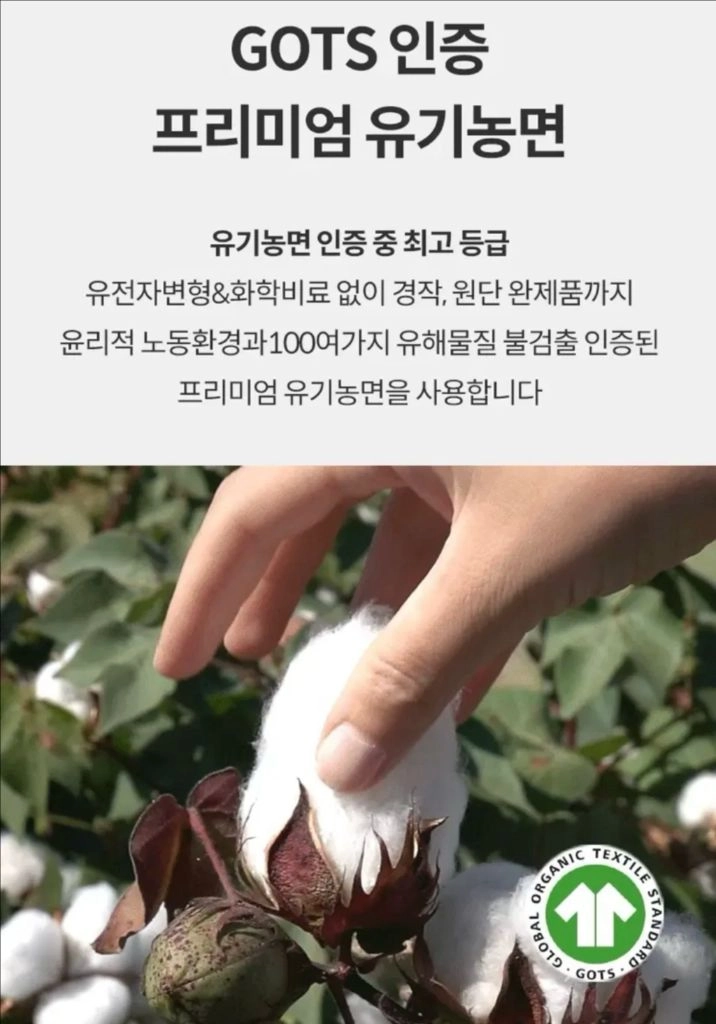 [새상품] 싸이클린 팬티 (유기농 면팬티 여성팬티 속옷) 이미지