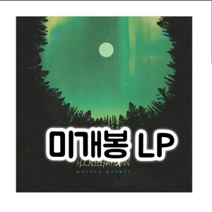 허클베리핀 - 오로라 피플 [180g LP] 이미지