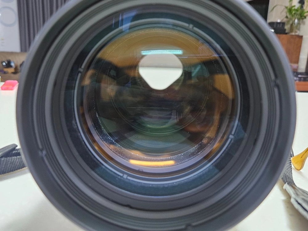 EF 300mm F2.8 L IS USM 망원렌즈 이미지